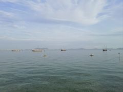 -贡湖湾湿地公园