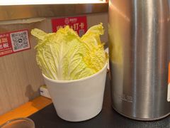 -聚味罗记大排檔·鲜鱼杂·甲鱼煲•龙虾馆(科学馆店)