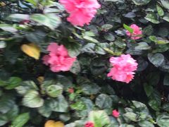 -李师傅脆肚(梅林店)