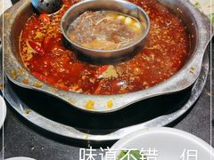 -一斗火锅·招财羊毛肚(泰吉滨江店)