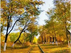 -永定河休闲森林公园