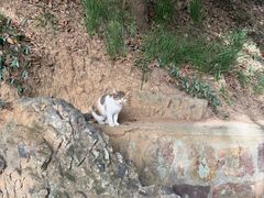 -狼山风景名胜区