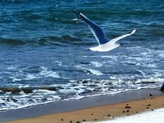 -青岛第一海水浴场