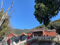 -灵光寺