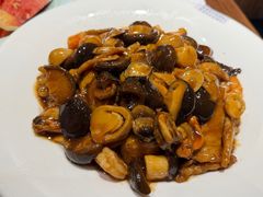 -新侨小馆(东直门北小街店)