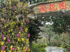 -东莞植物园