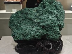 -北京中医药大学-中医药博物馆