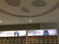 -创凡宠物医院·骨专科  猫科中心(西乡分院)