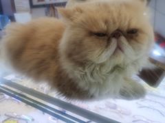 -鑫亮视光·蔡司品牌折扣店·配镜(哈工大科学园店)