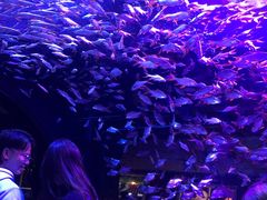 -成都浩海立方海洋公园