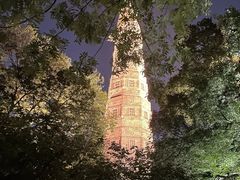 -青竺·青竹茶舍(断桥店)