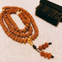 -藏晶堂(丰盛里店)