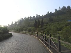 -云河农家乐饭店(福禄缘树山店)