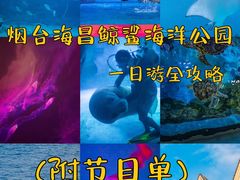 -烟台海昌鲸鲨海洋公园