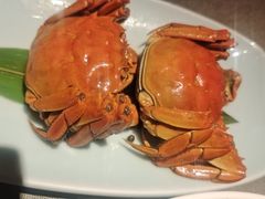 -小厨娘绣中淮扬(大行宫科巷店)