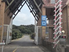 -大塘金香草谷