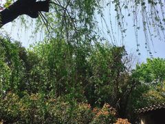 -水绘园