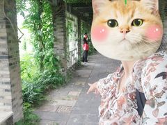 -龙寺生态园