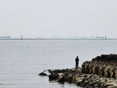 -上海滨江森林公园