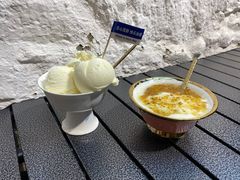 -古树酸奶(八廓南街店)