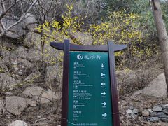 -北京凤凰岭
