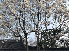 -拙政园