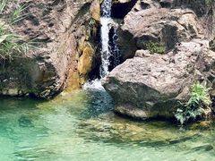 -南海湾森林生态园