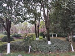 -洛龙公园