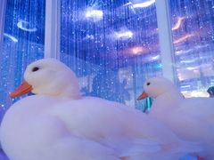 -鹿客西街(欧乐时尚广场店)