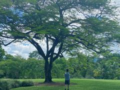-中国科学院西双版纳热带植物园