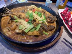 -老板恋上鱼(恒隆广场店)