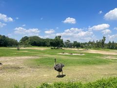 -宁波野生动物园