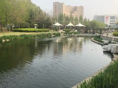 -丁家河公园