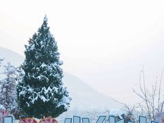 -少华山国家森林公园