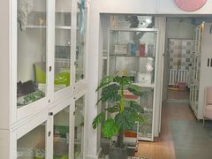 -青奢宠物·青奢猫舍