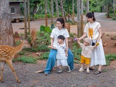 -海南热带野生动植物园
