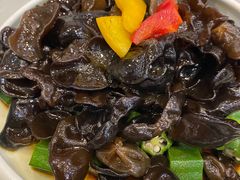 -大鸭梨烤鸭店(金顶街店)