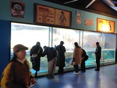 -海合安武汉极地海洋公园
