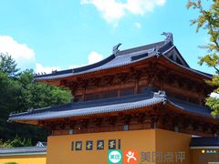 -溪口-滕头旅游景区