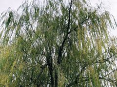 -堤角公园