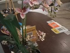 -施奈儿.洗头頭療.按摩SPA.采耳(上梅林店)