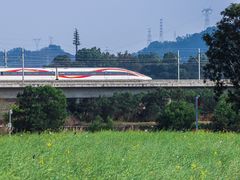 -光明小镇欢乐田园