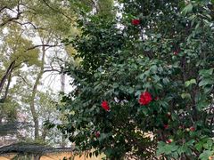 -西园北里-李立故居