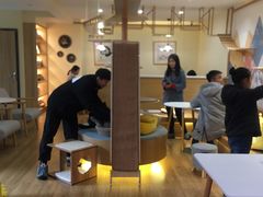-滚猫咖啡·猫咖·猫友好撸猫(未来城店)