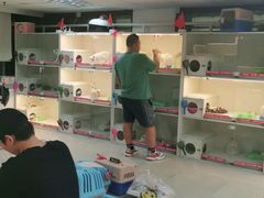 -lincat·猫舍(广州店)