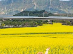 -光明小镇欢乐田园