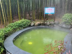 -江南天池高山汤泉城