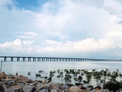 -宝安西湾红树林湿地公园