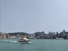 -星光大道