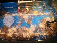 -星伦多自助料理·涮烤一体(嘉兴八佰伴店)
